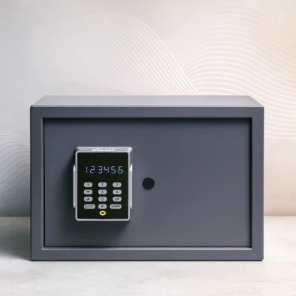 Lower Value Electronic safe
