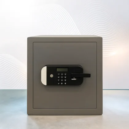 Maximum Security Motorised Safe